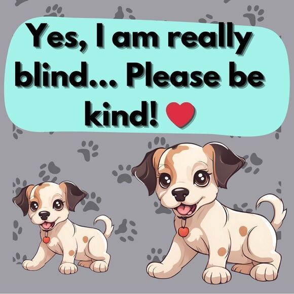 Camelot China American Rose 1655 Dinner
Plate - Vintage Floral Design - Picture 2 of 7